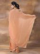 kasee Sequinned Organza Saree For Cheap